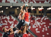 世界杯2026-费利克斯一剑封喉！荷兰绝杀卡塔尔，全场沸腾写就A组最燃剧本